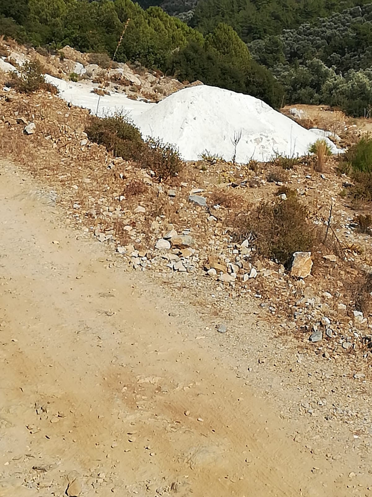 Aydın Söke Satılık Dolamit Sahası